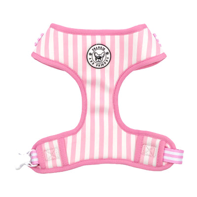 Pink Candy Stripe - Adjustable Harness
