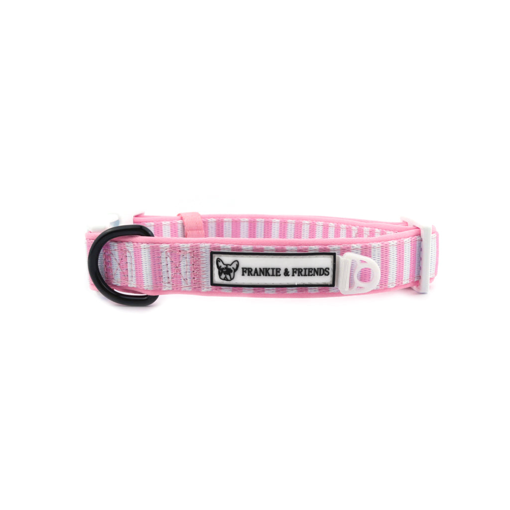 Pink Candy Stripe - Collar