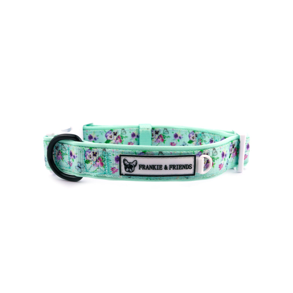Spring Butterfly - Collar