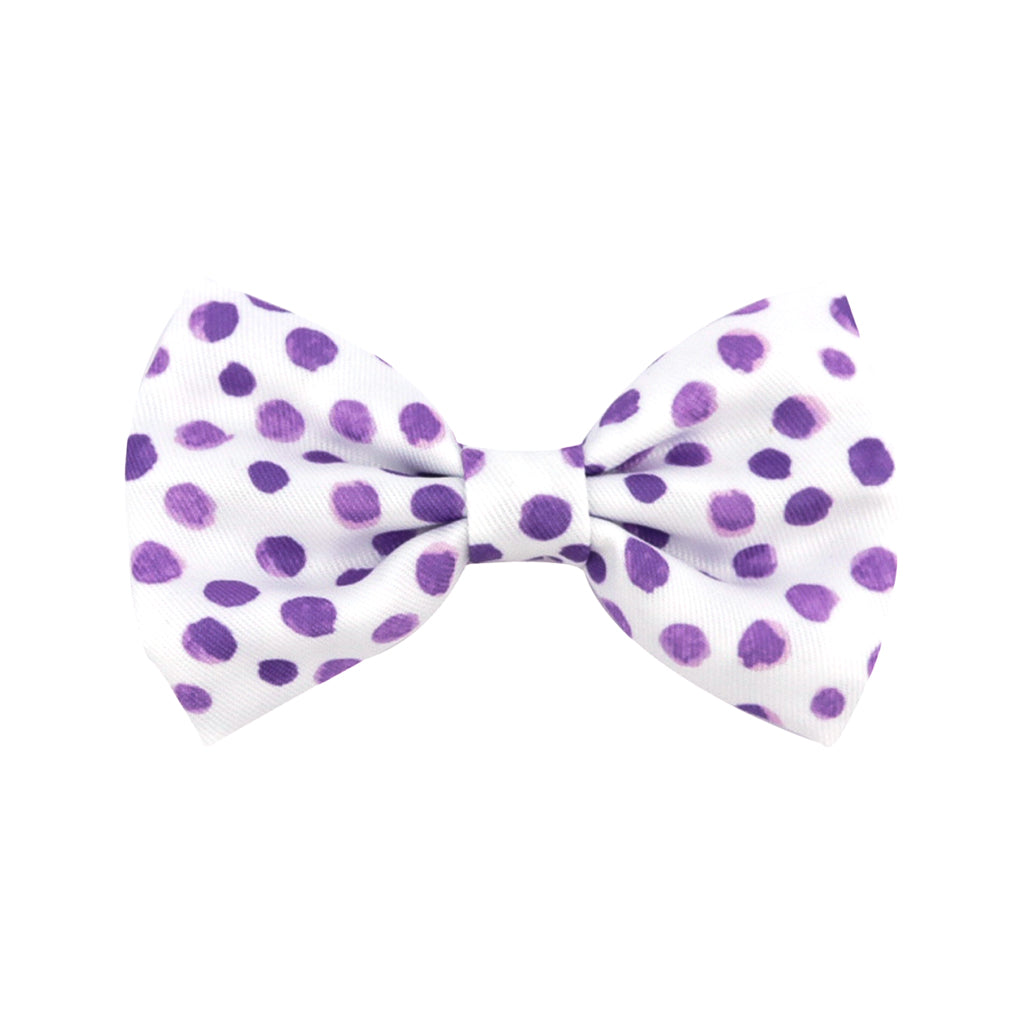 Wild About Purple - Bow Tie - End Of Line