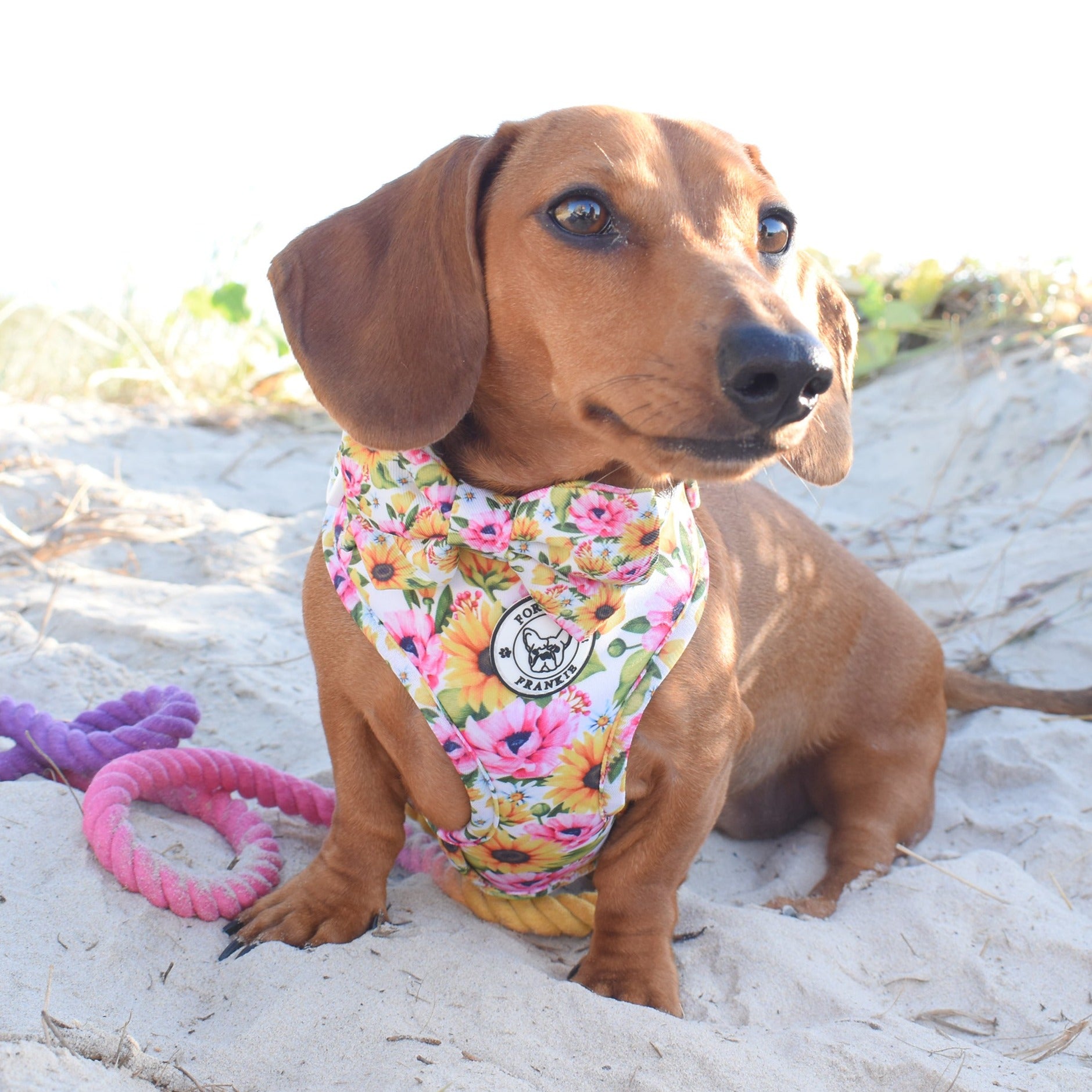 Heavenly Sunflower - Adjustable Harness