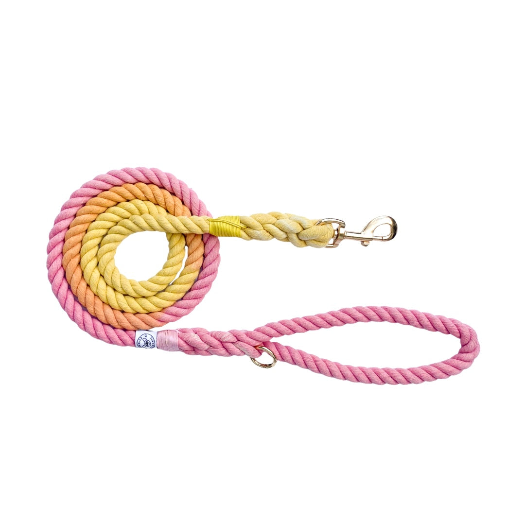Sunset Ombré - Rope Dog Lead