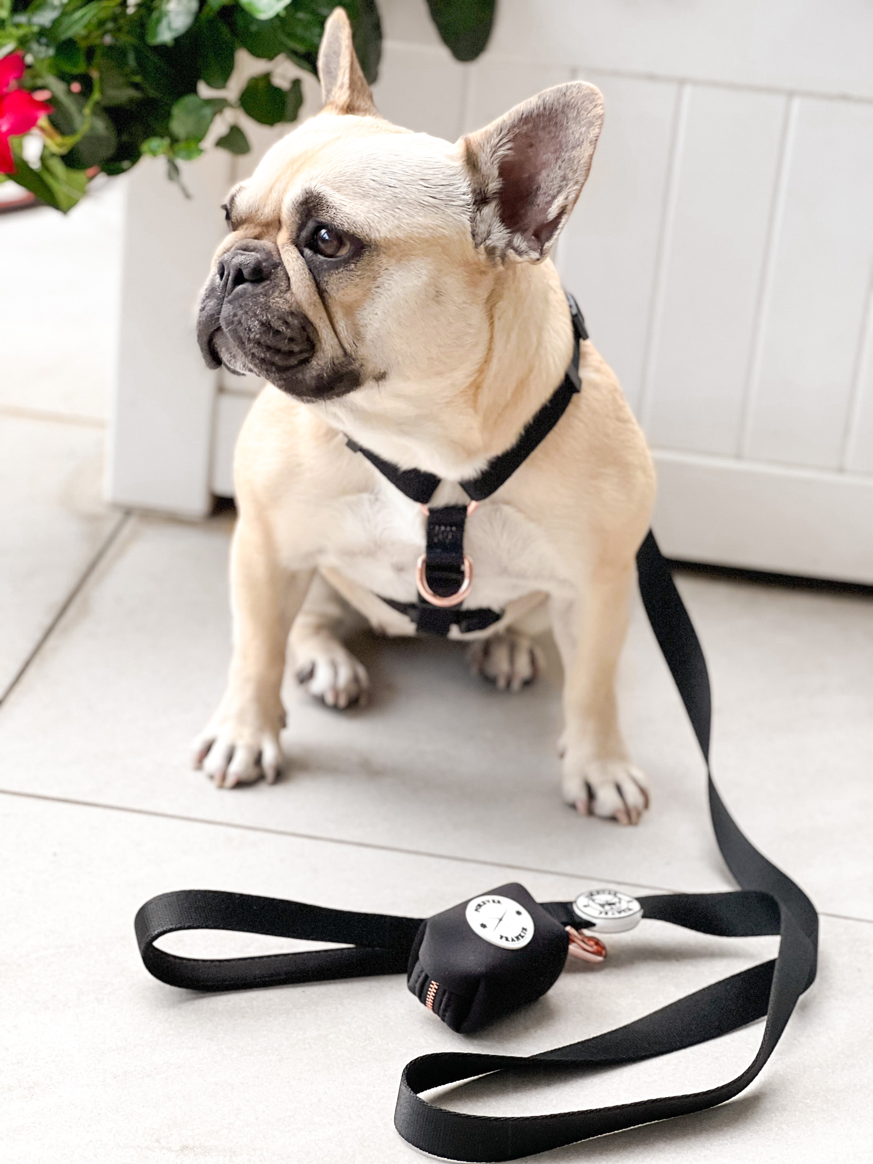 Midnight Black - Strap Harness - End Of Line